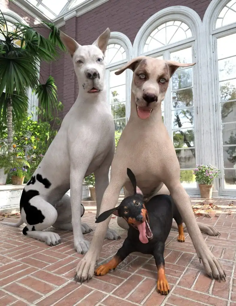 Three Amigos for Daz Dog 8_DAZ3DDL