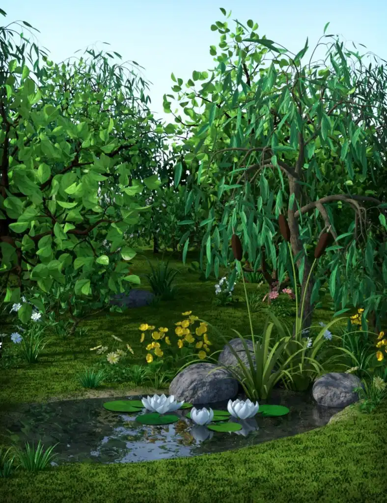 Toon Pond_DAZ3D下载站