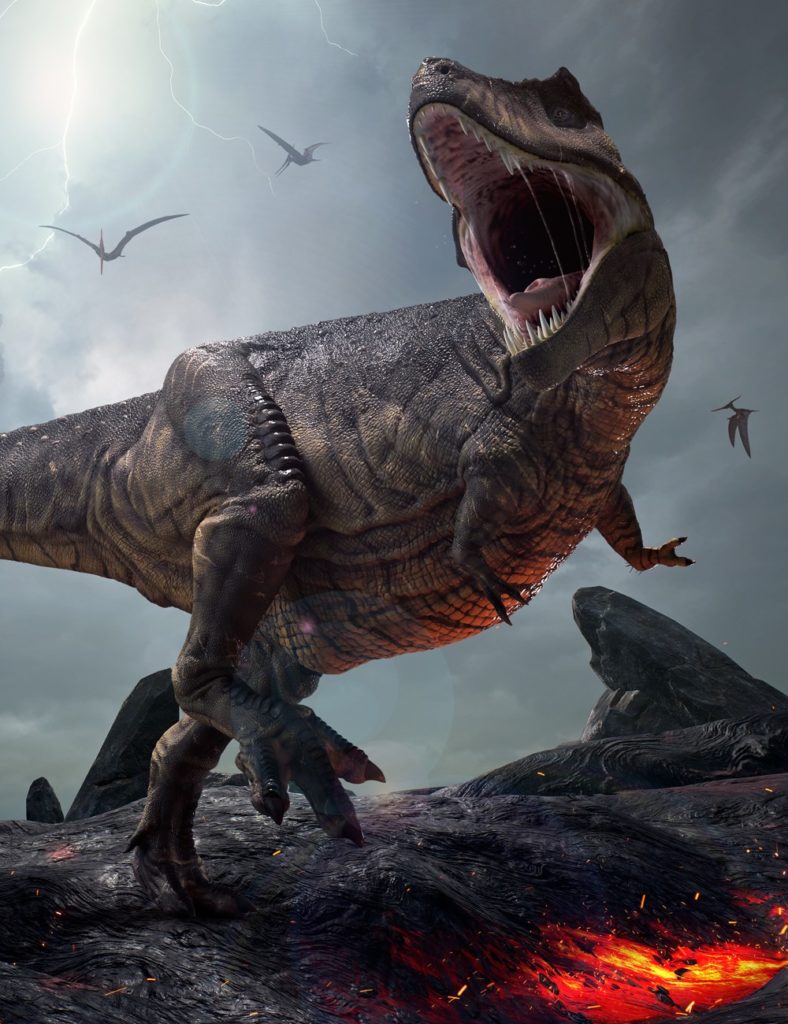 Tyrannosaurus Rex – Tyrant-Lizard King_DAZ3D下载站