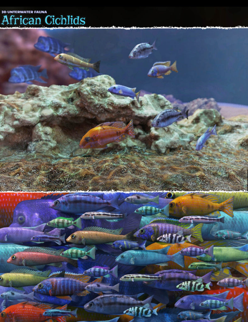 3D Underwater Fauna: African Cichlids_DAZ3DDL