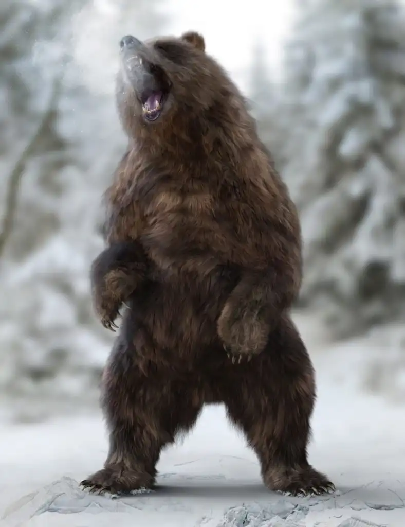 Brown Bear by AM_DAZ3DDL