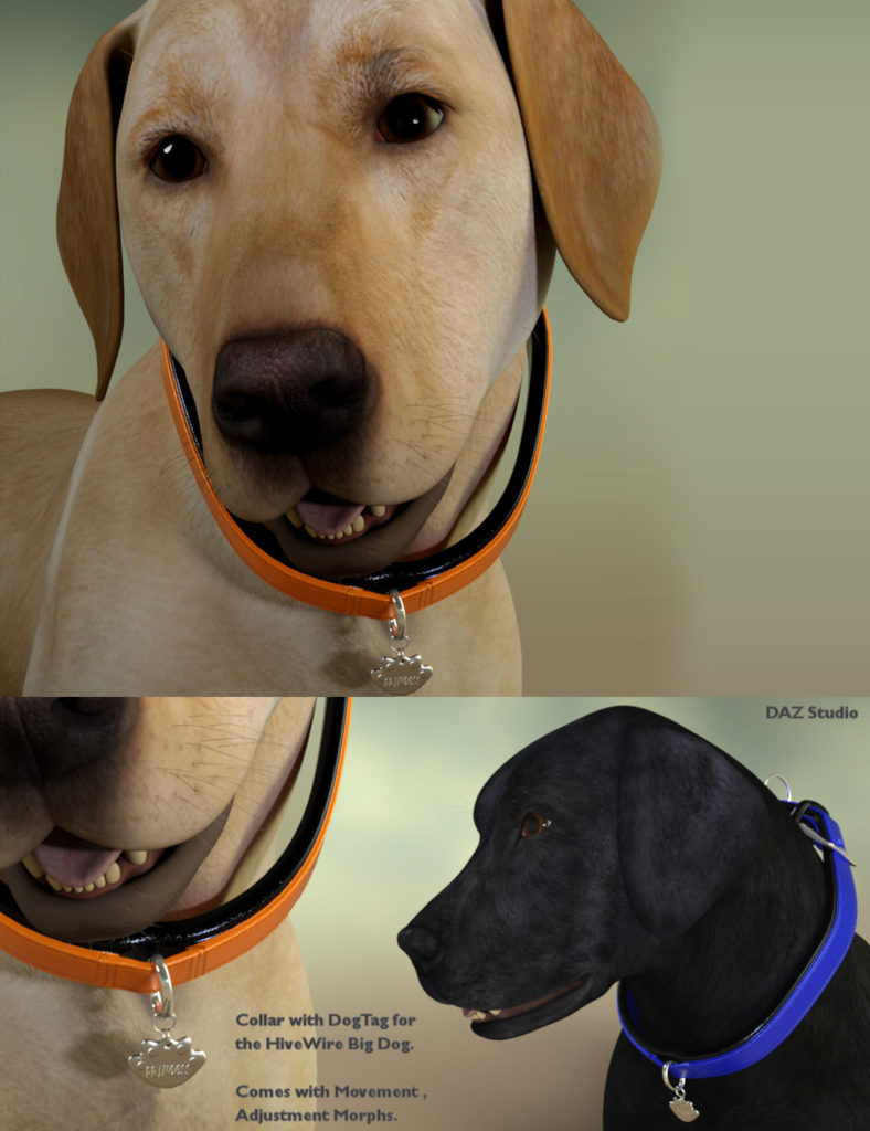 Collar Base for Hivewire Big Dog – Daz Studio Version_DAZ3D下载站