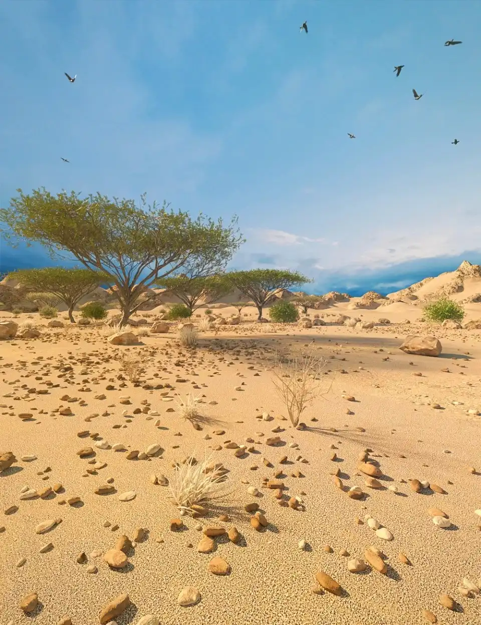 Desert Depression_DAZ3D下载站
