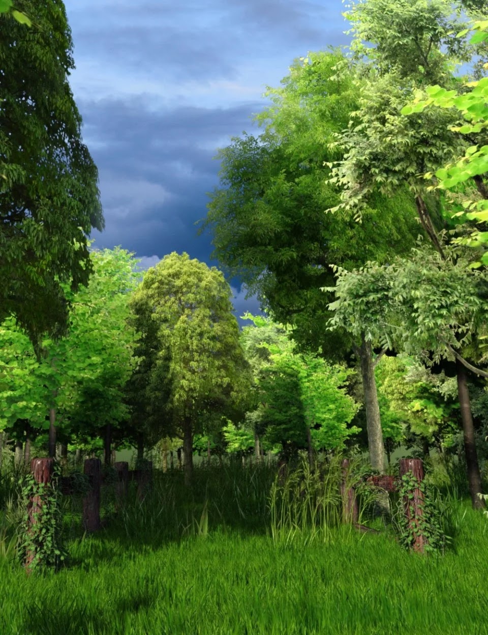 Forests Trees and Grass World Building Set_DAZ3D下载站