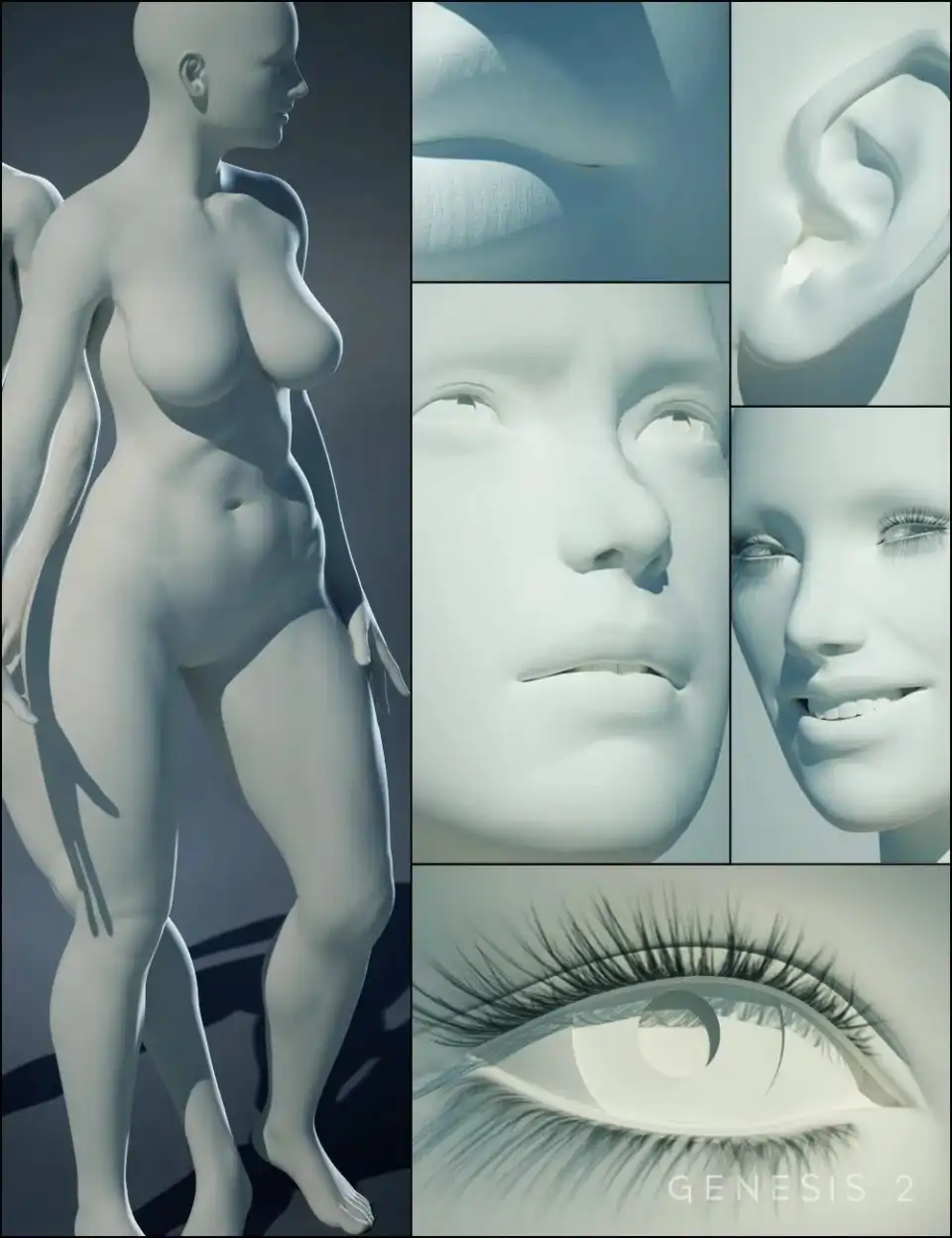Genesis 2 Female(s) Morphs Bundle_DAZ3D下载站