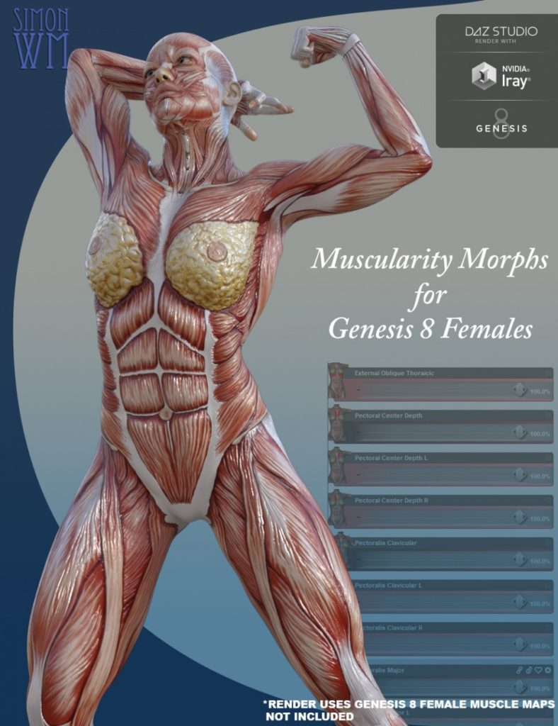 Muscularity Morphs for Genesis 8 Female(s)_DAZ3D下载站