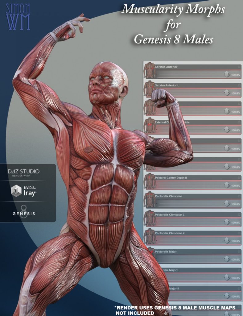 Muscularity Morphs for Genesis 8 Male(s)_DAZ3D下载站