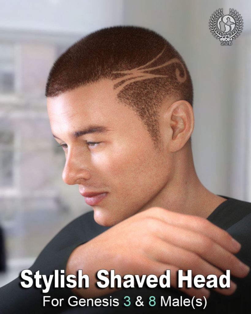 Stylish Shaved Hair For Genesis 3 And 8 Male(s)_DAZ3DDL