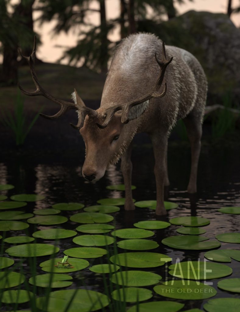Tane The Old Deer for Daz Horse 2_DAZ3D下载站