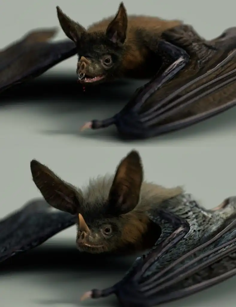 Vampire Bat by AM_DAZ3DDL