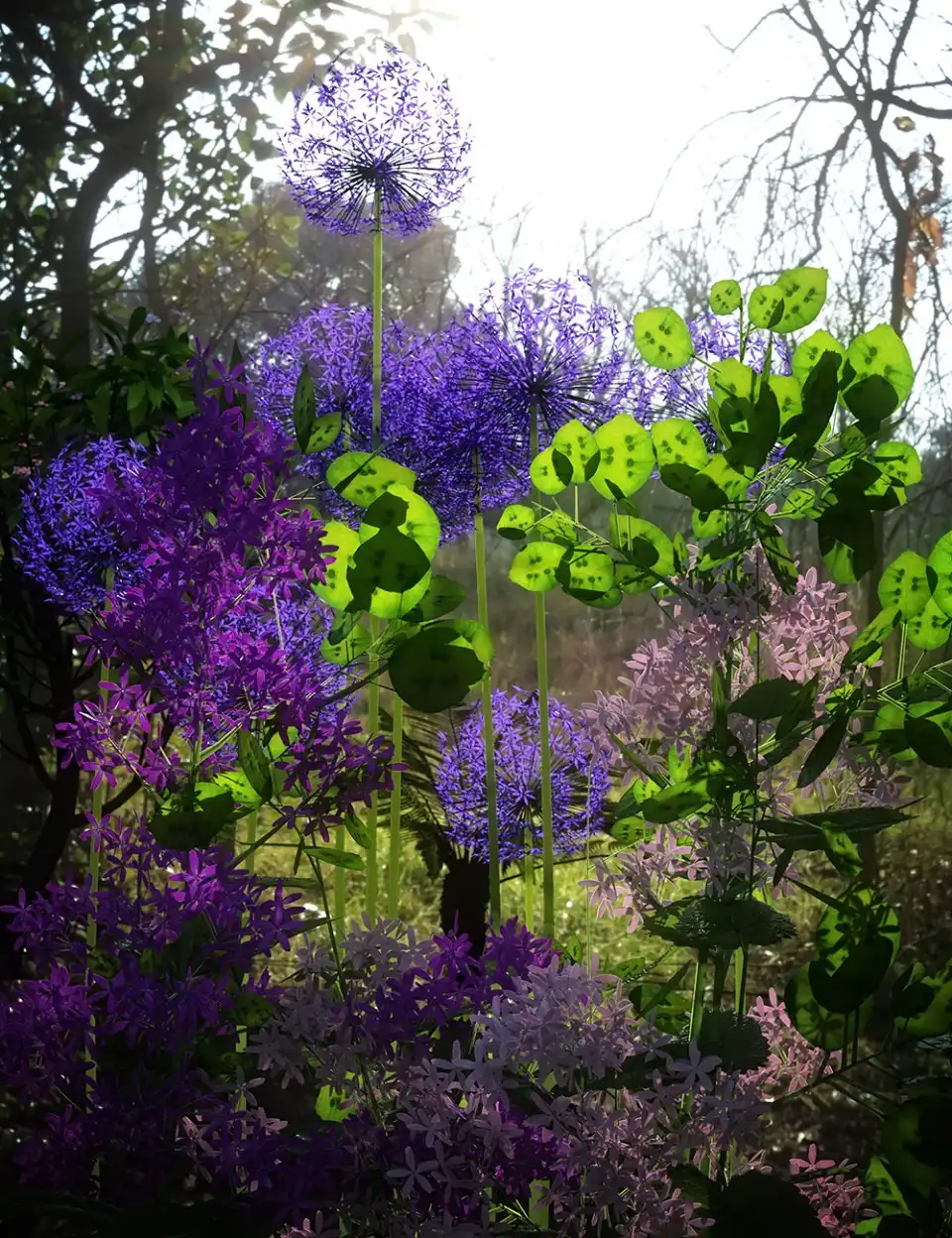 Architectural Garden Plants for Daz Studio Vol. 1_DAZ3DDL