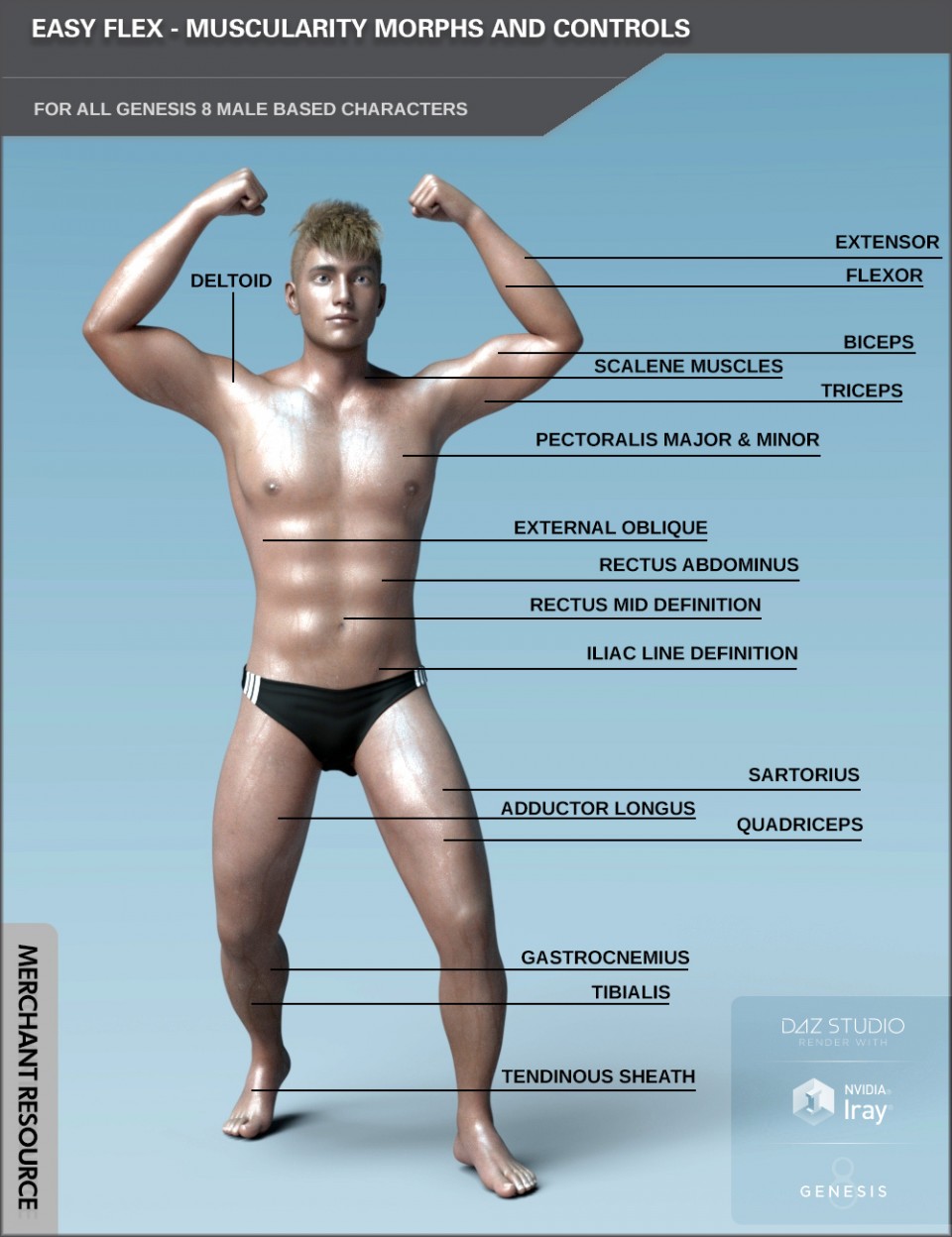 Easy Flex Muscularity Morphs for Genesis 8 Male(s) and Merchant Resource_DAZ3DDL