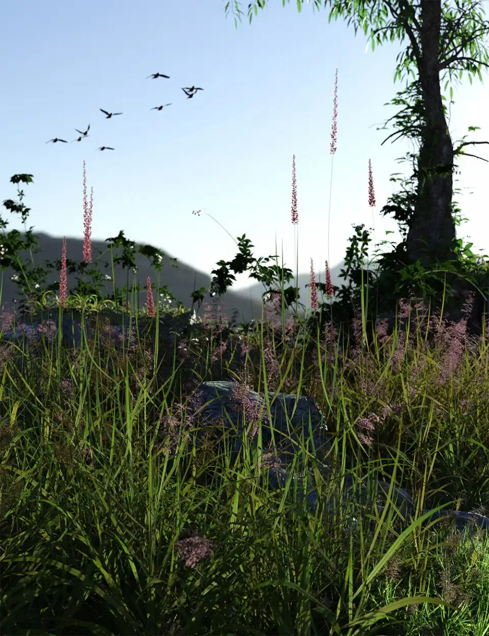 Long Grass – Essential Grassland Flowers and Plants_DAZ3DDL
