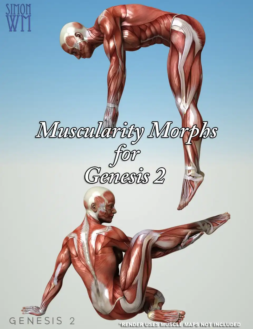 Muscularity Morphs for Genesis 2 Bundle_DAZ3D下载站