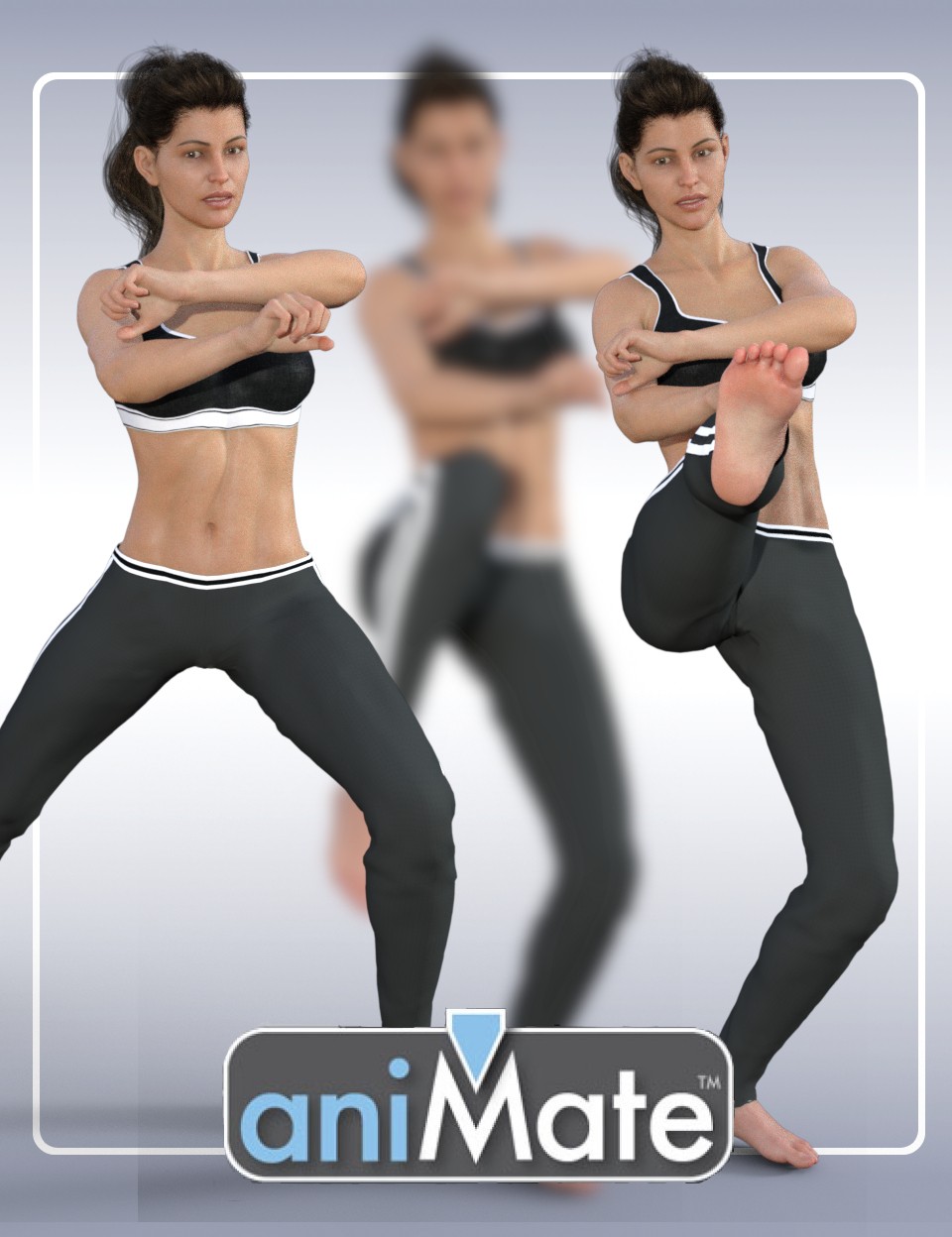 aniMate Martial Arts Combos for Victoria 8_DAZ3D下载站