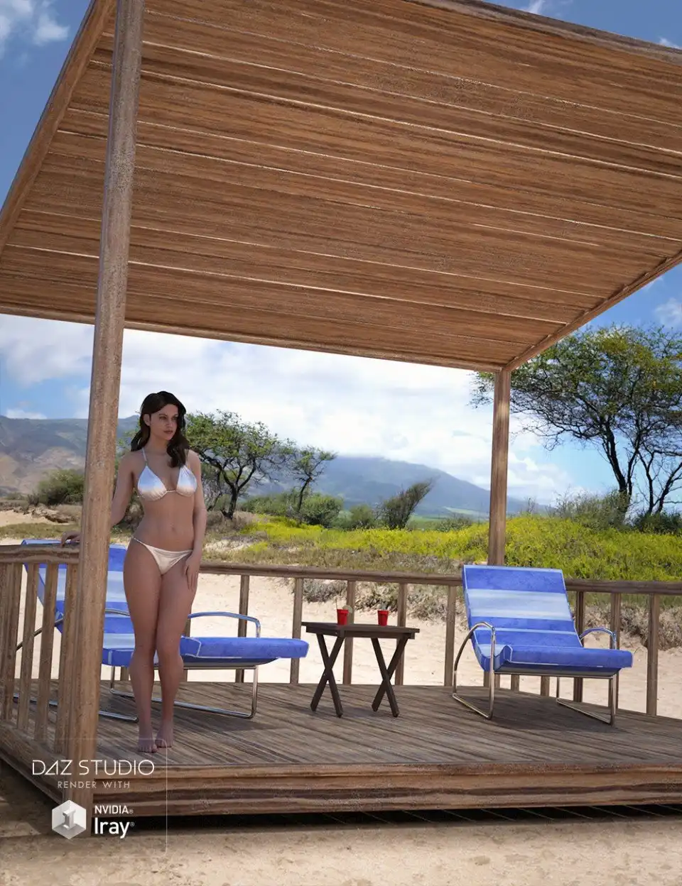 Beach Props_DAZ3D下载站