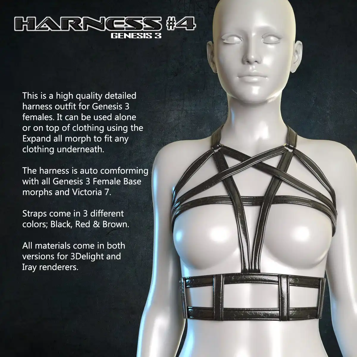 Exnem Harness 4 for Genesis 3 Female_DAZ3DDL