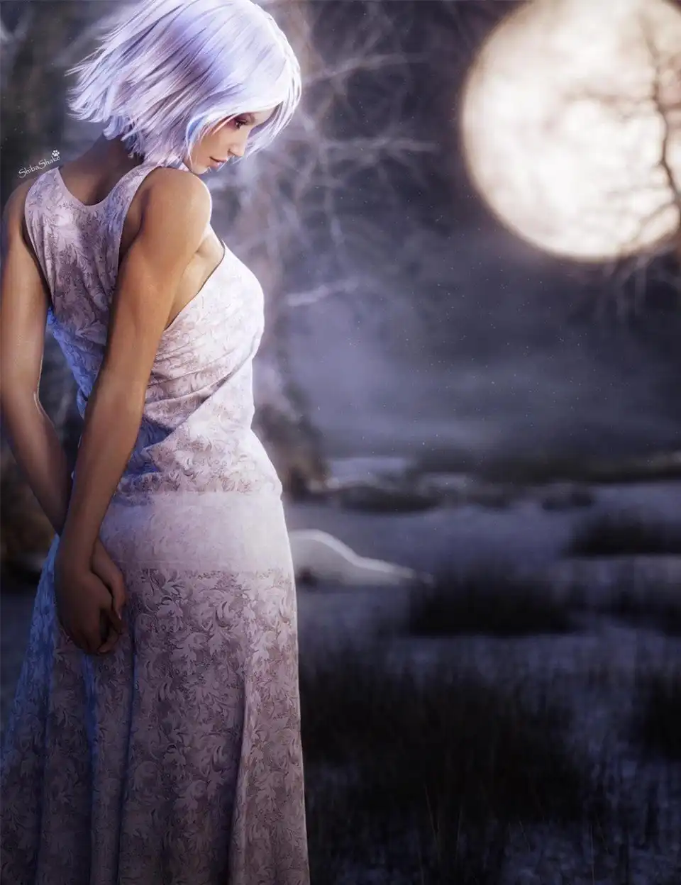 Isidora Dress for Genesis 3 Female(s)_DAZ3DDL