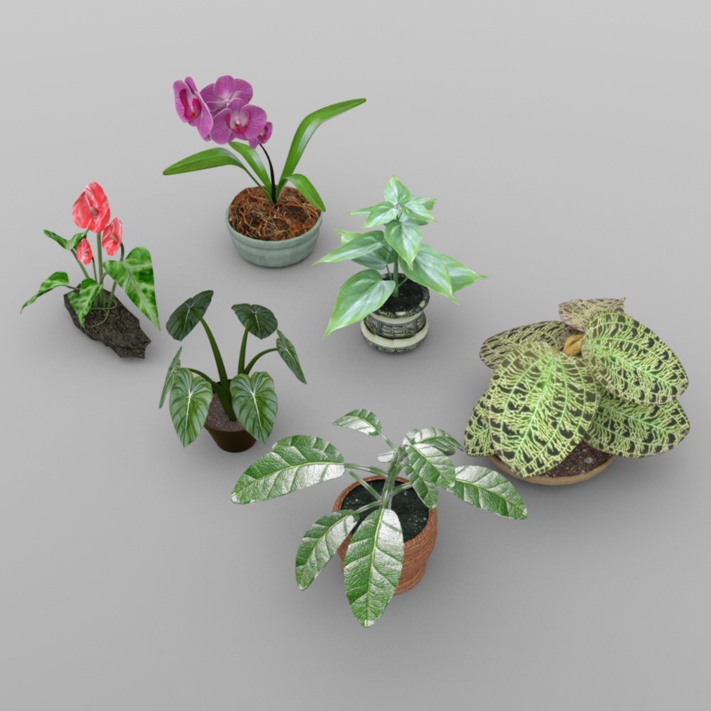 Plants Set 1 for DAZ Studio_DAZ3D下载站