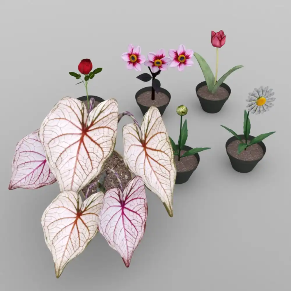Plants Set 2 for DAZ Studio_DAZ3DDL