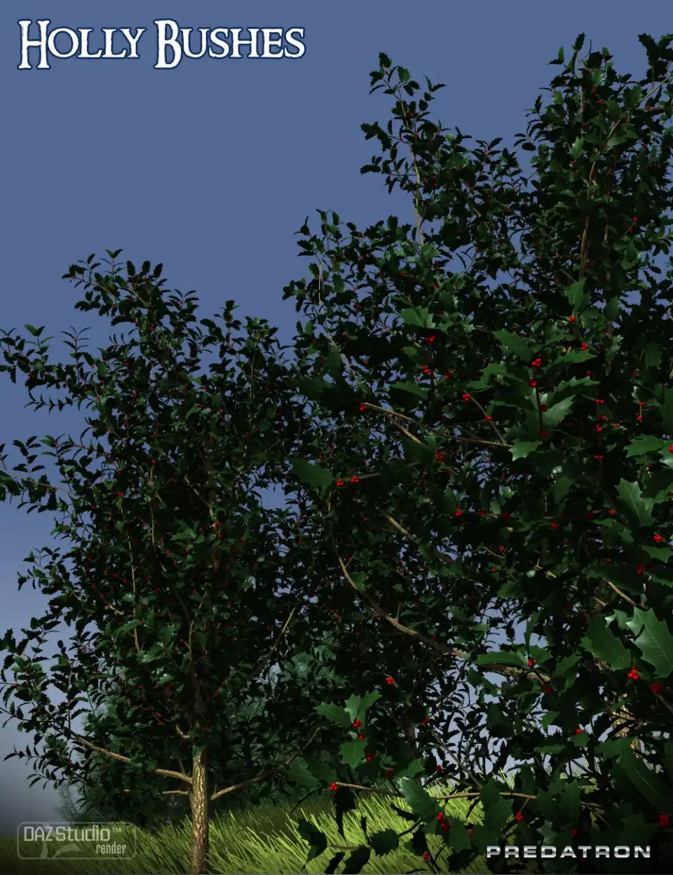 Predatron Holly Bushes_DAZ3D下载站
