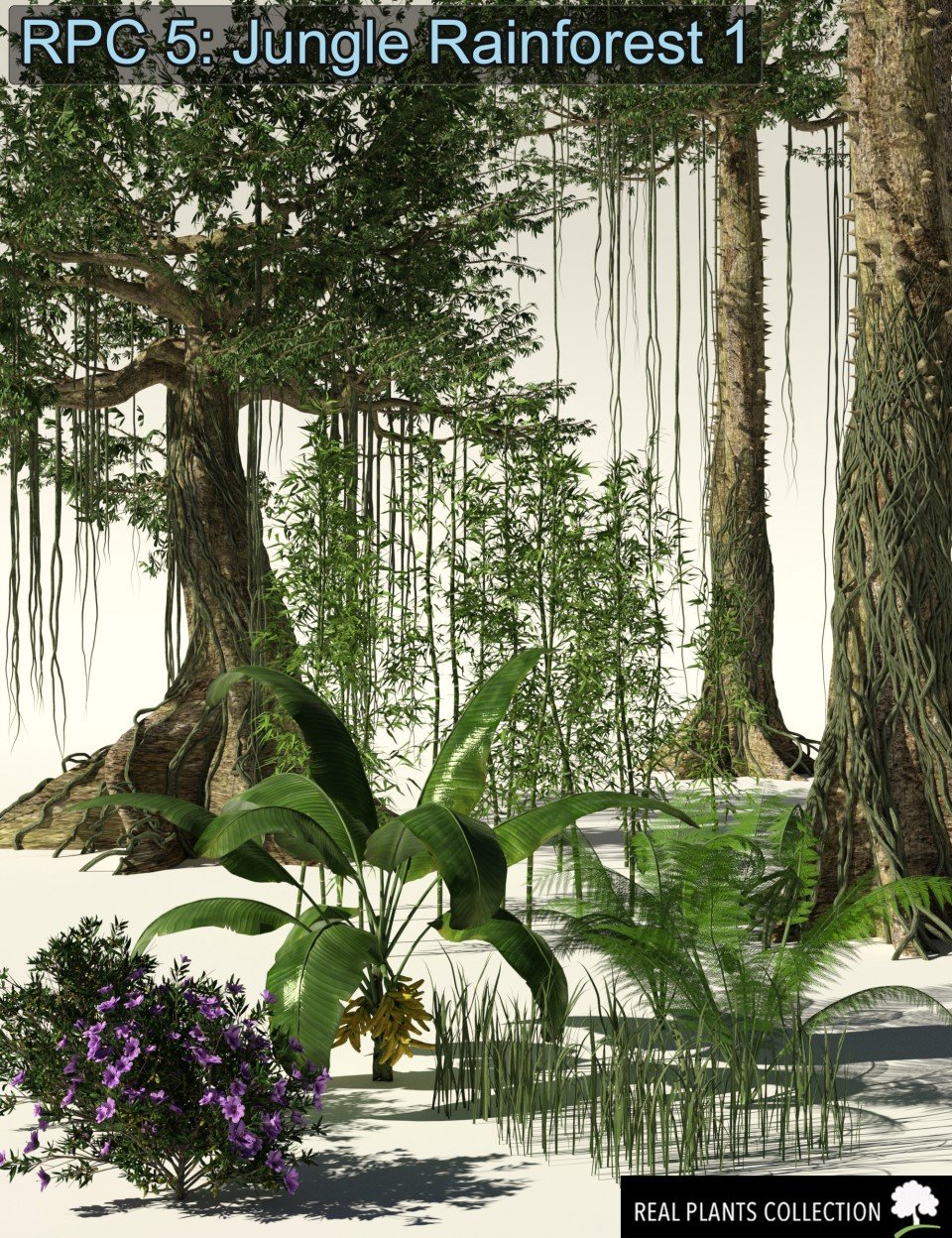RPC Volume 5: Jungle Rainforest 1 for Daz Studio and Vue_DAZ3D下载站