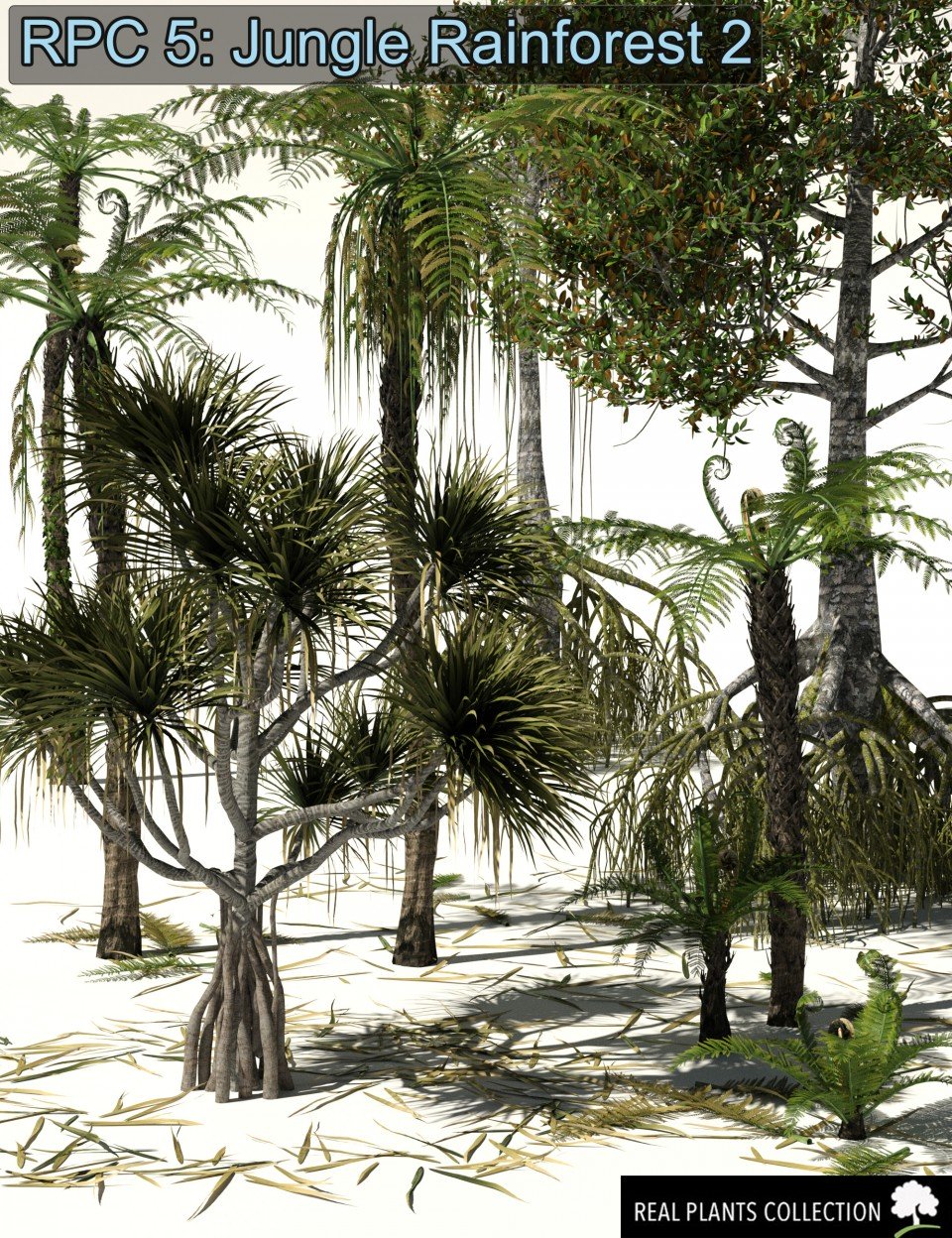 RPC Volume 5: Jungle Rainforest 2 for Daz Studio and Vue_DAZ3D下载站