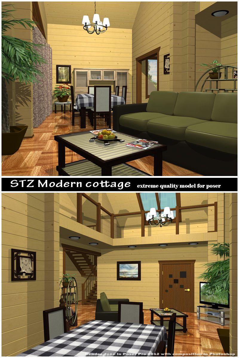 STZ Modern Cottage_DAZ3DDL