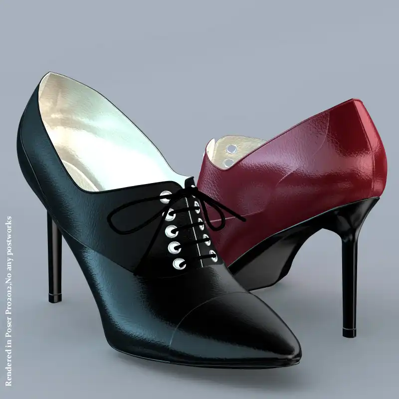 Teacher’s Shoes_DAZ3DDL