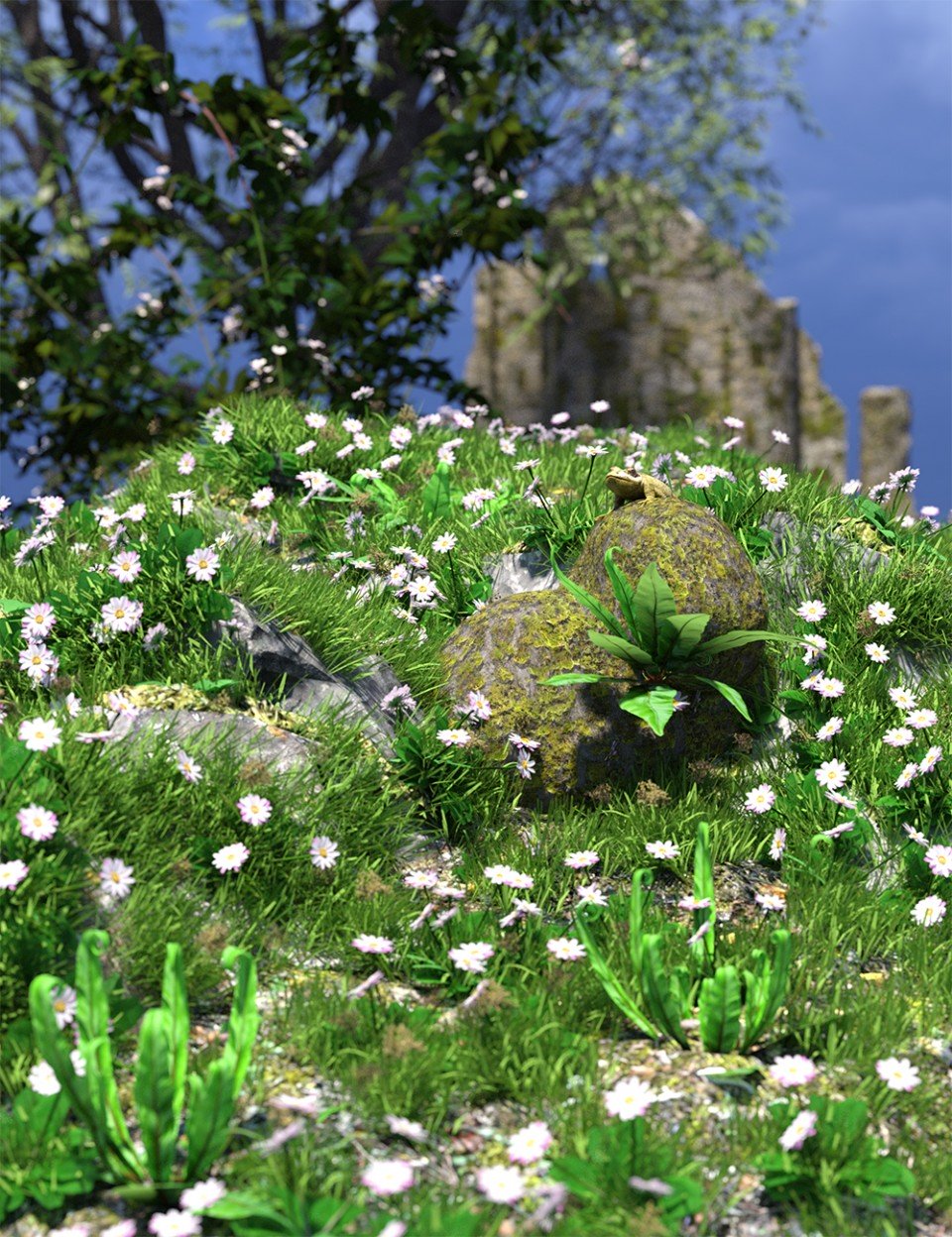 The (Im)Perfect Lawn – Essential Grassland Flowers and Plants_DAZ3D下载站
