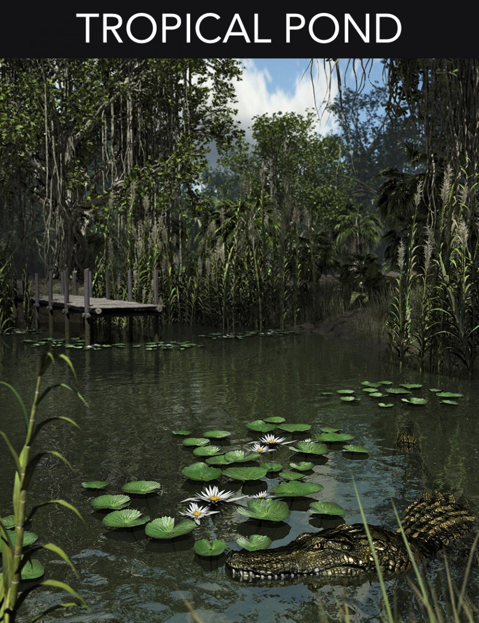 Tropical Pond_DAZ3D下载站