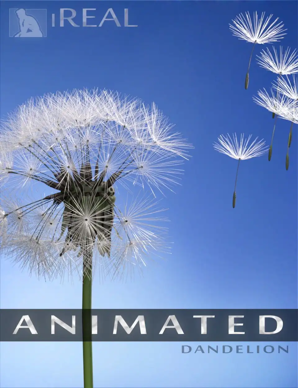 iREAL Animated Dandelion_DAZ3DDL