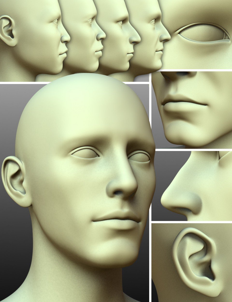 200 Plus – Head & Face Morphs for Genesis 3 Male(s)_DAZ3DDL