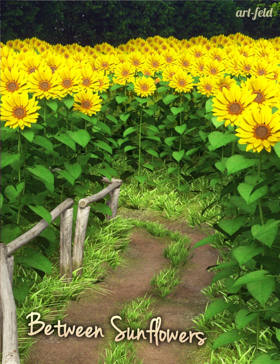 Between Sunflowers_DAZ3D下载站