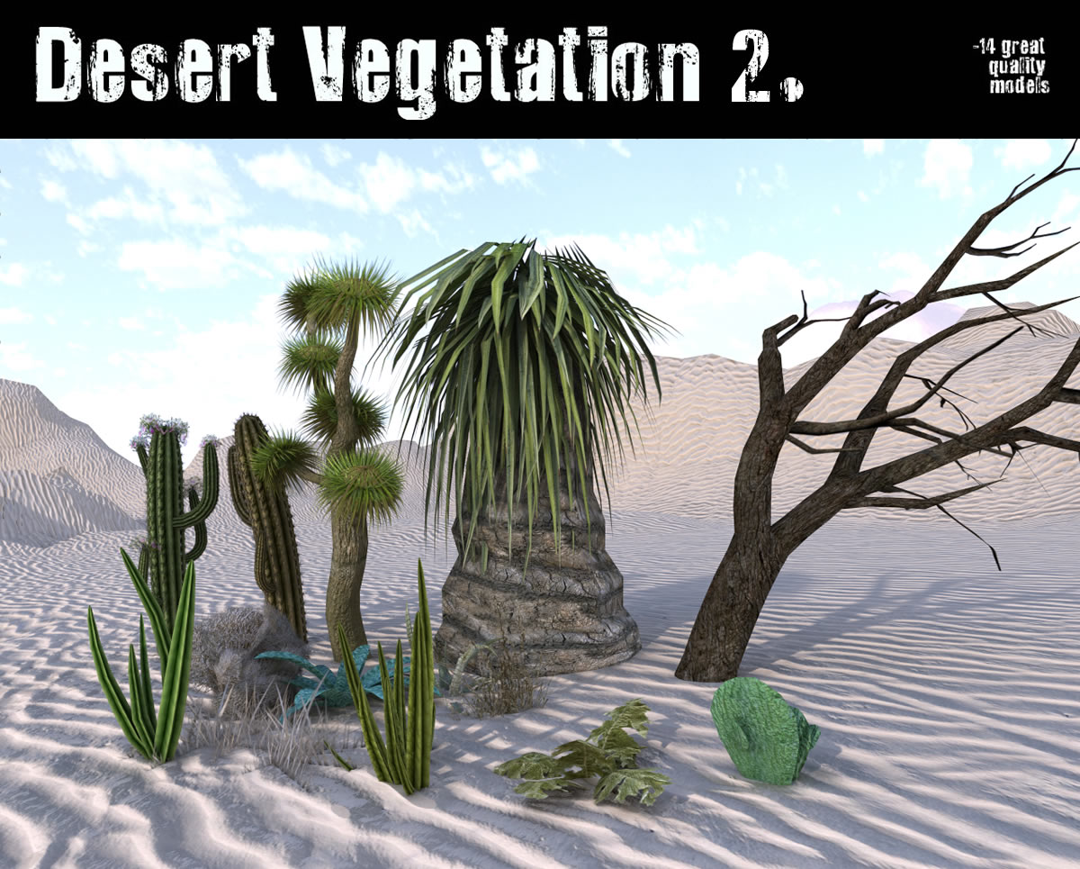 Desert Vegetation 2_DAZ3D下载站