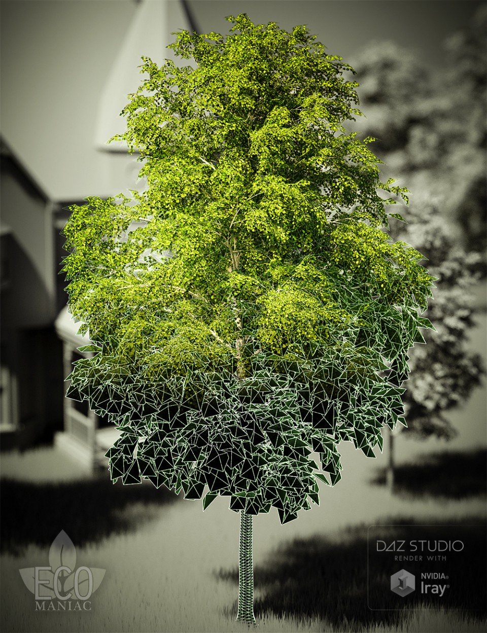 EM – MultiRes Aspen Trees_DAZ3DDL