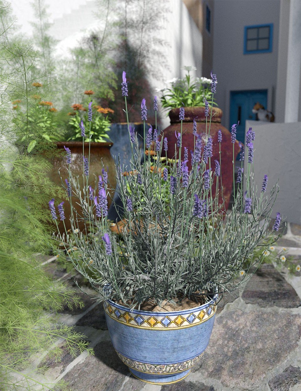 Garden Flowers – Lavender Bushes_DAZ3D下载站
