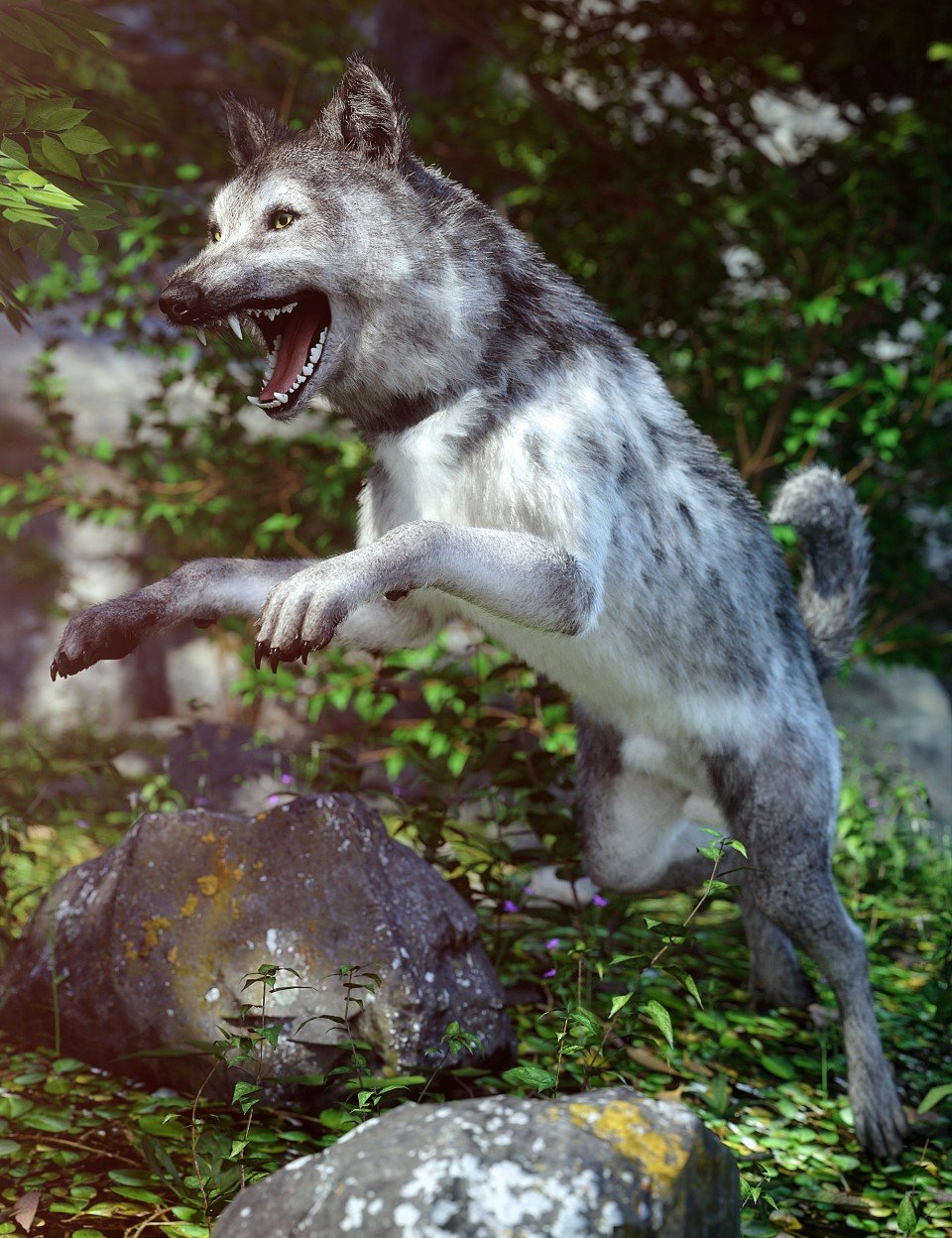 Grey Wolf for Daz Dog 8_DAZ3D下载站