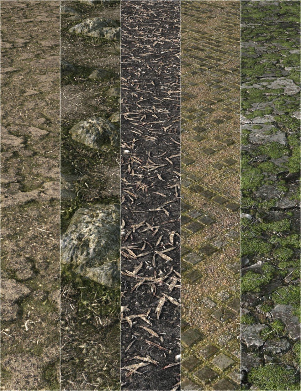 Ground Textures 3_DAZ3D下载站