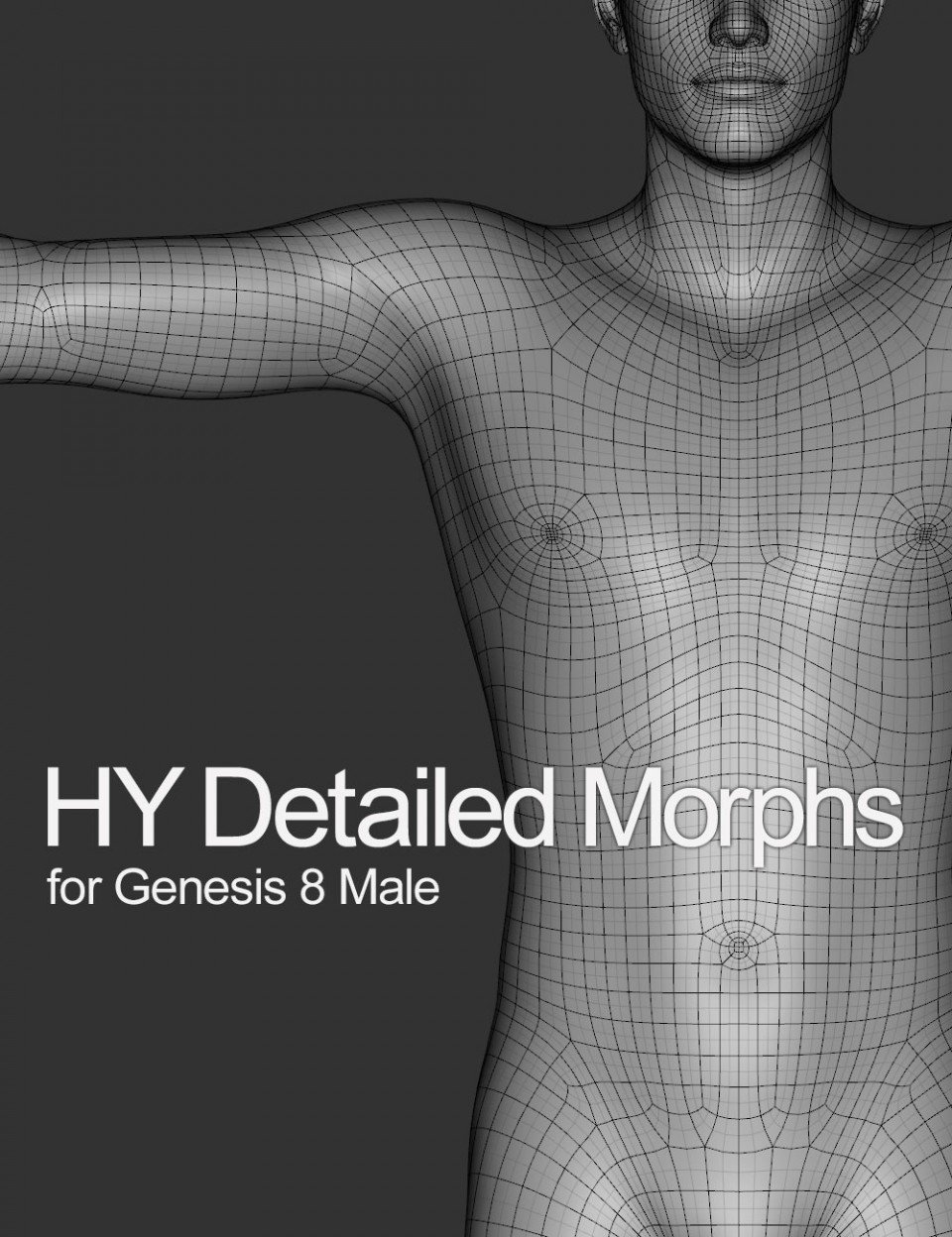 HY Detailed Morphs for Genesis 8 Male_DAZ3D下载站