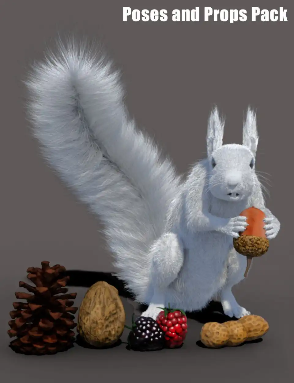 Rodents by AM: Squirrel Props and Poses_DAZ3DDL