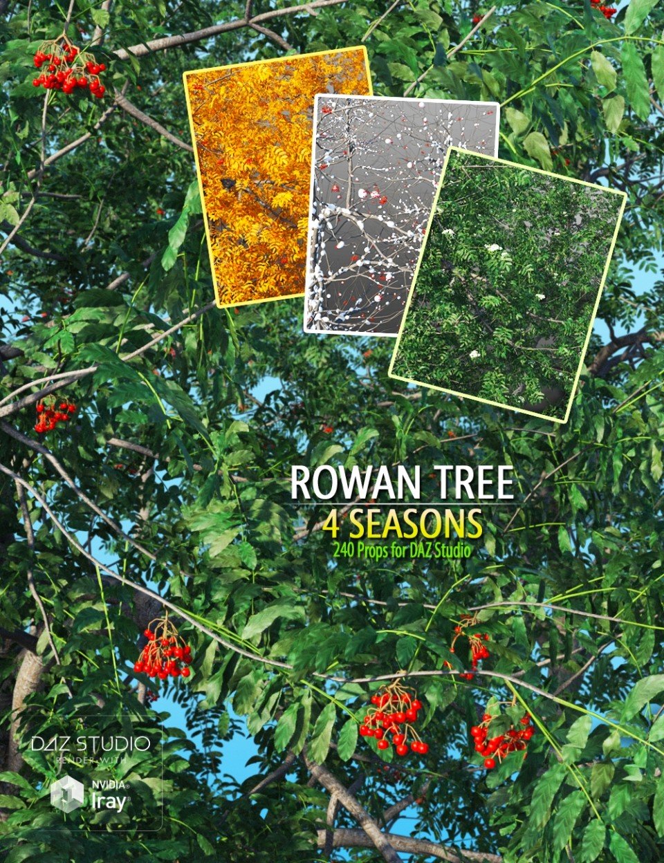 Rowan Tree_DAZ3D下载站