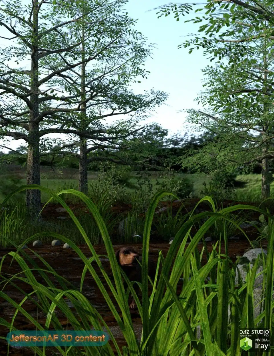 Wet Terrain_DAZ3DDL