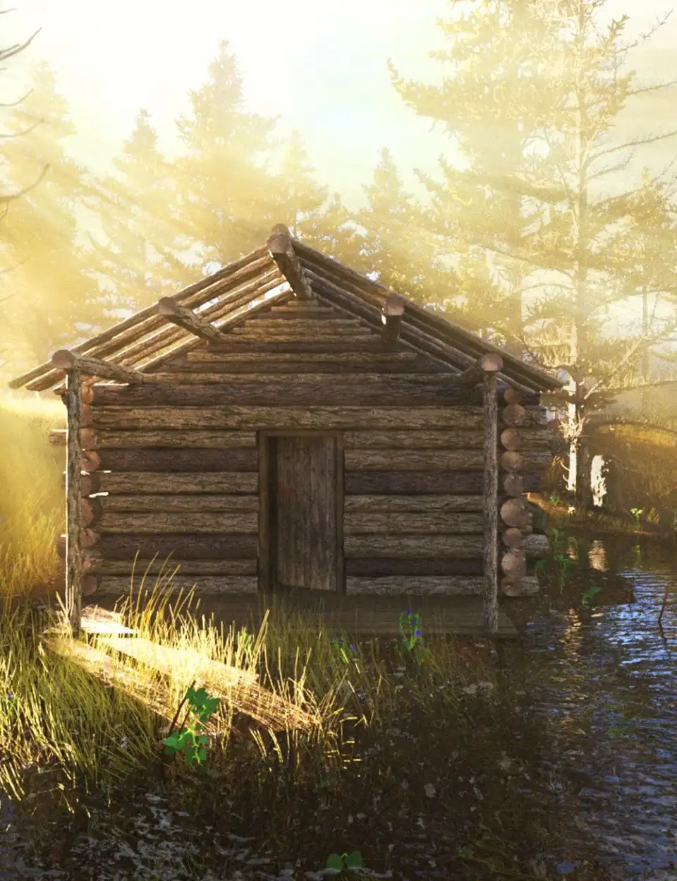 Woodland Place_DAZ3DDL