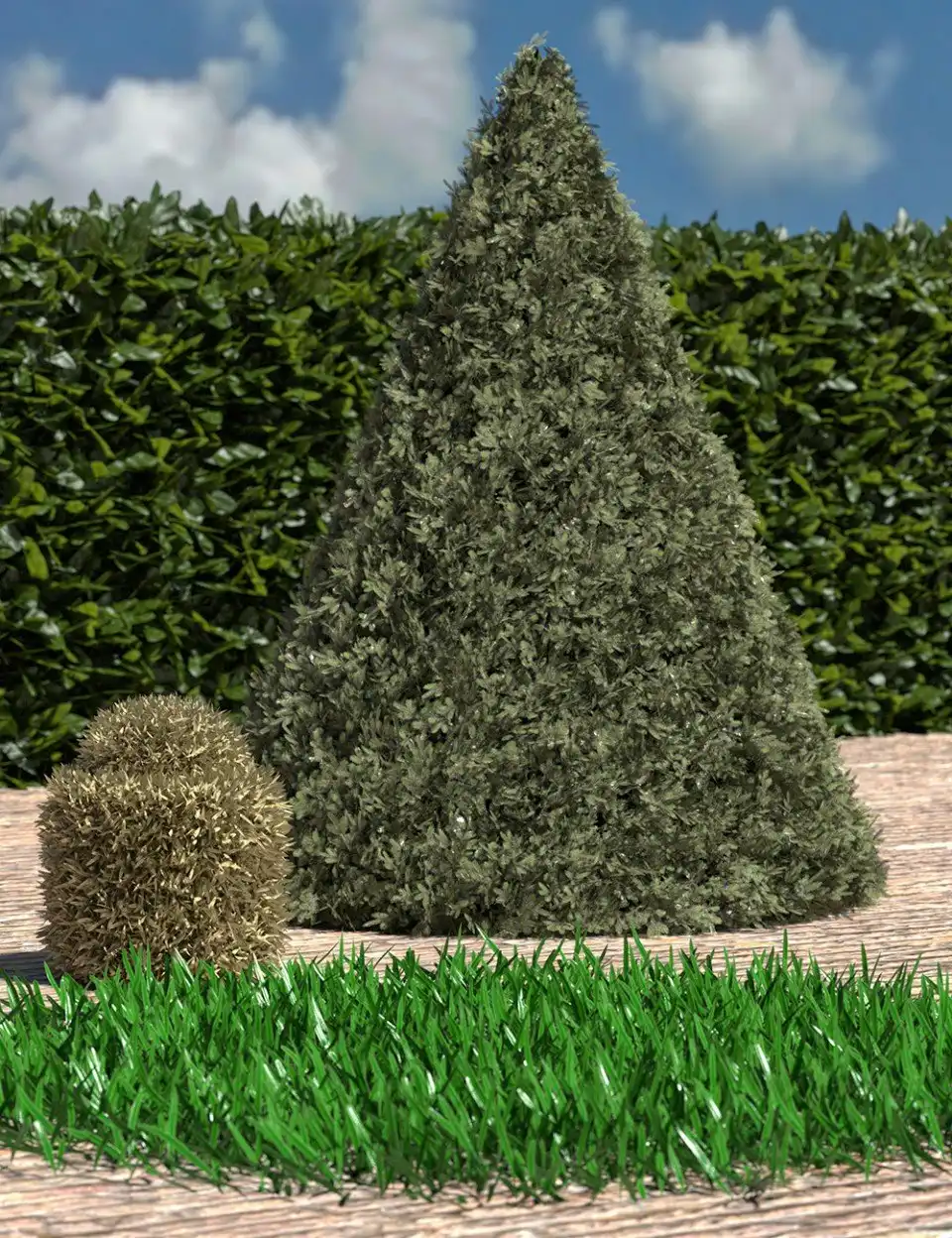 dForce Thicket Shapes_DAZ3D下载站