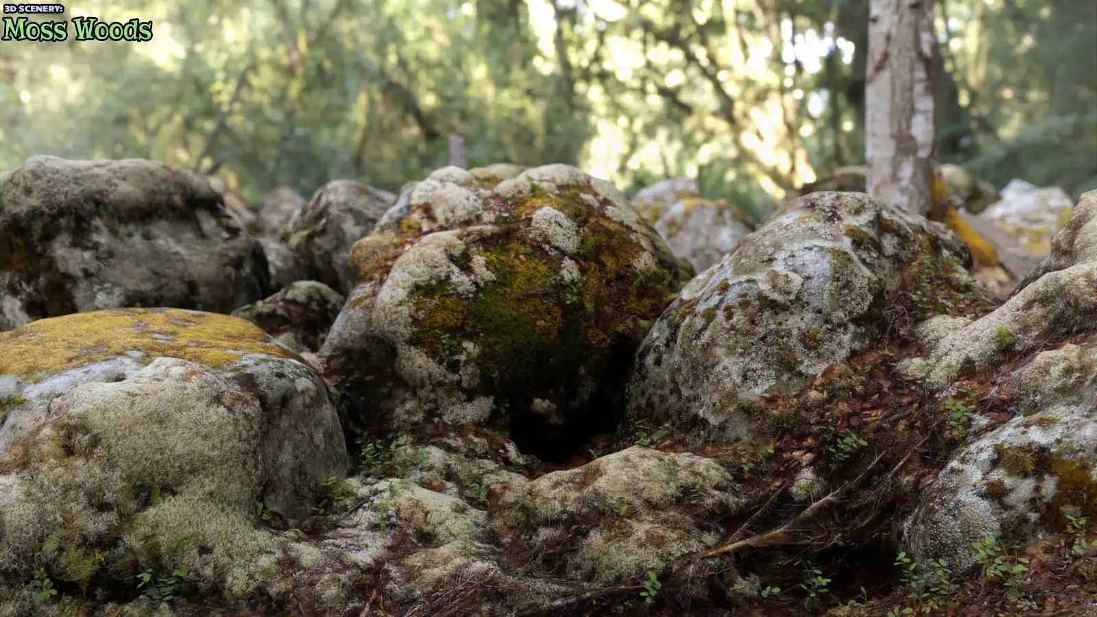 3D Scenery: Moss Woods_DAZ3DDL