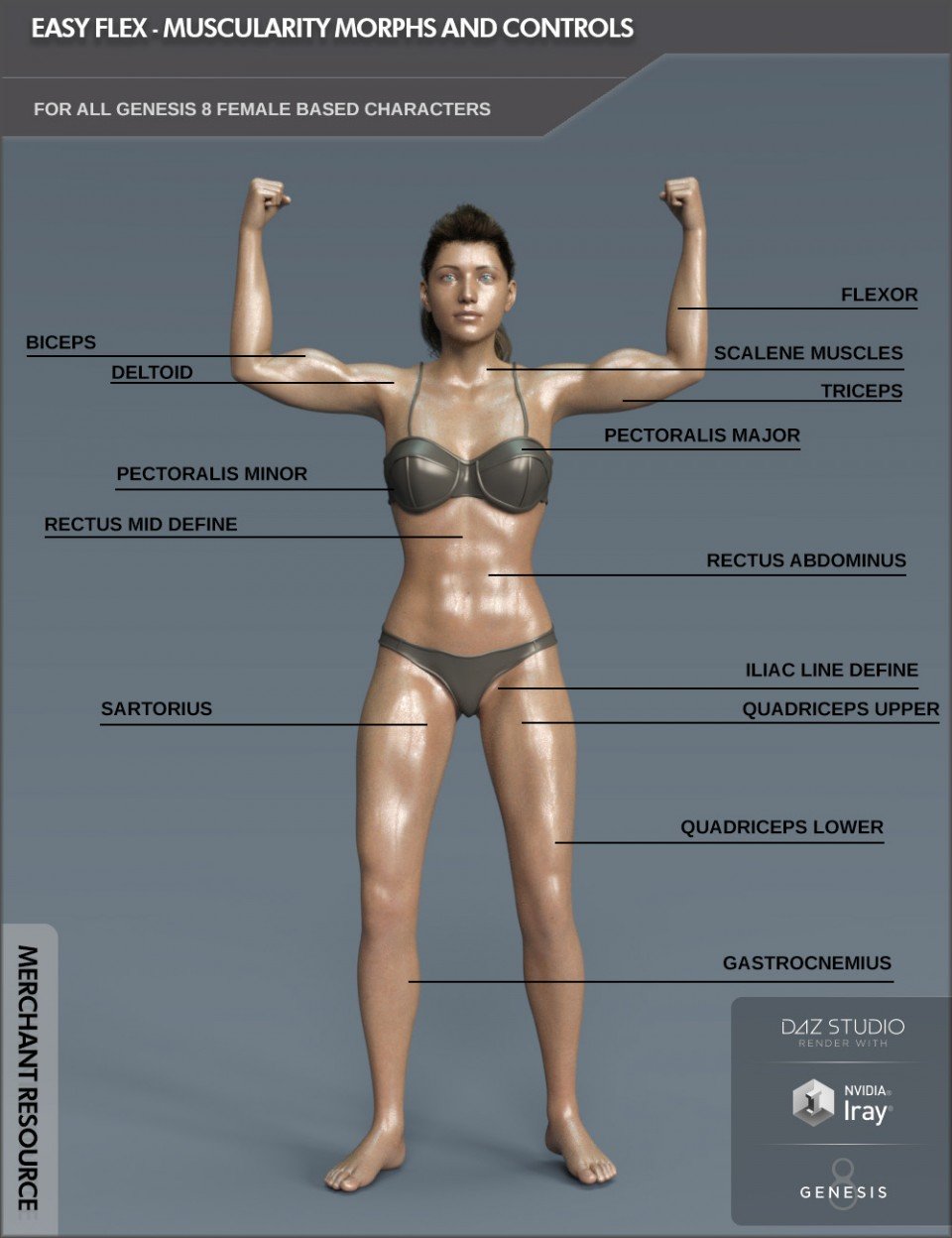 Easy Flex – Muscularity Morphs for Genesis 8 Female and Merchant Resource_DAZ3D下载站