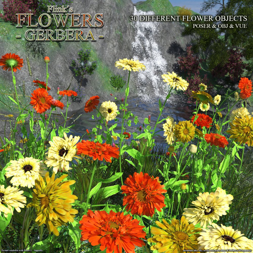 Flinks Flowers – Flower 2 – Gerbera_DAZ3DDL