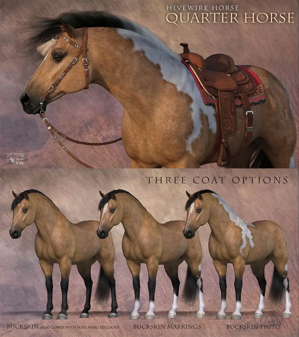 HiveWire Quarter Horse_DAZ3DDL