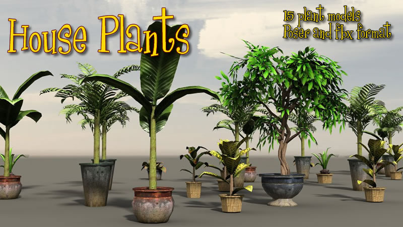 House Plants_DAZ3D下载站